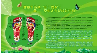 足疗展板 荷花图片