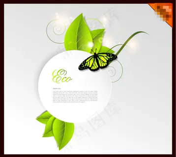 绿叶蝴蝶夏天模板下载