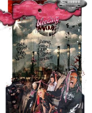 粉色庞克类型Flash全屏网站