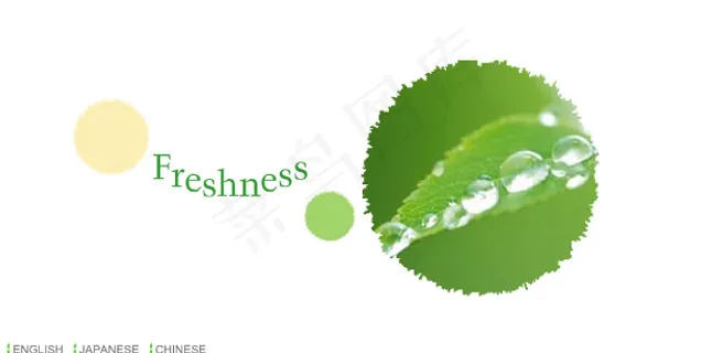 绿色简洁风格flash