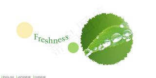 绿色简洁风格flash