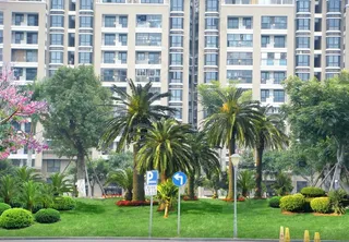 大草坪绿化配置图片