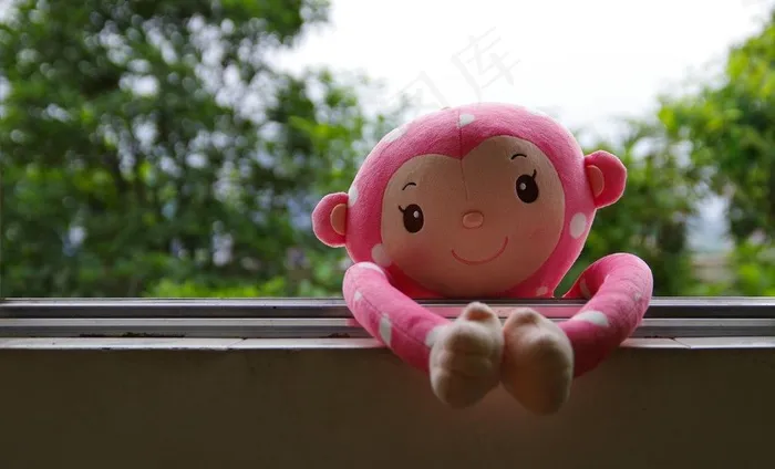 家有小猴图片