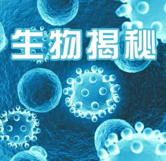 科技展板 科技展板