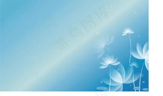 荷花背景图图片