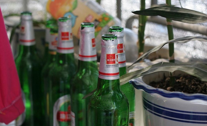 啤酒瓶 啤酒图片