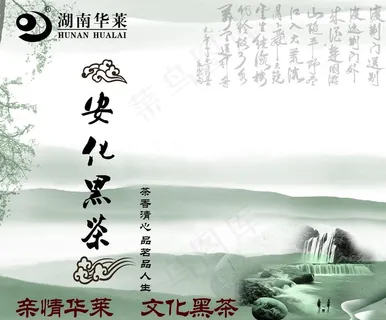 湖南华莱安化黑茶图片 湖南华莱安化黑茶图片