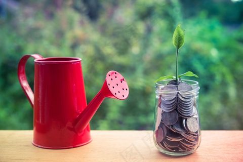 金币嫩芽小树苗孵化培育理财商务金融财富主题素材