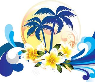 水花 水珠 椰子树图片