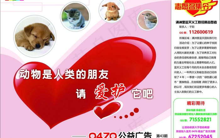 爱护动物图片psd模版下载