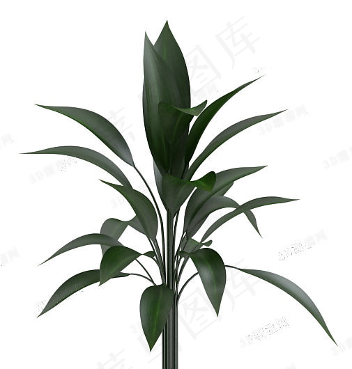 3D草模型