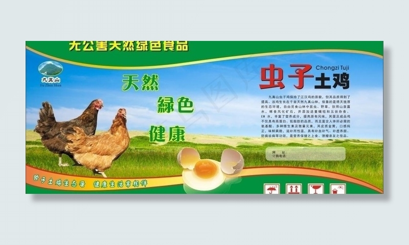 虫子土鸡图片