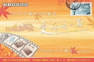 爱在这一夏图片