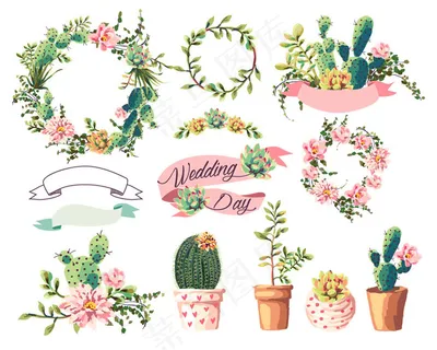 仙人掌花朵婚礼请贴图片