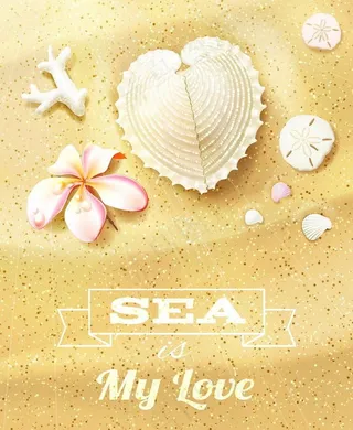 沙滩海洋生物图片