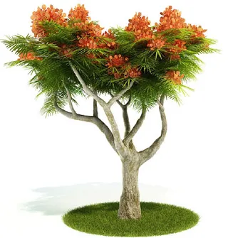 植物国外精品装饰素材免费下载3d装...