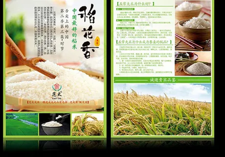 稻花香大米宣传单模板psd素材下载...