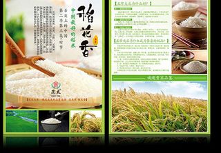 稻花香大米宣传单模板psd素材下载...
