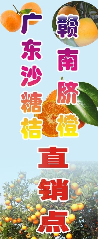 水果展架图片cdr矢量模版下载