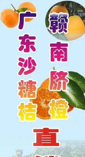 水果展架图片