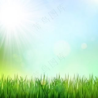 阳光中蓝天绿草矢量背景