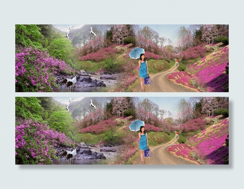 景色怡人 风景树图片(5184X1939(DPI:300))psd模版下载