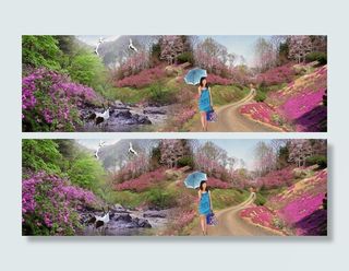 景色怡人 风景树图片