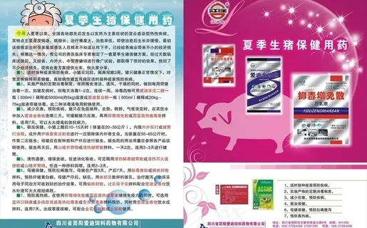 夏季生猪保健用药dm 广告设计图片