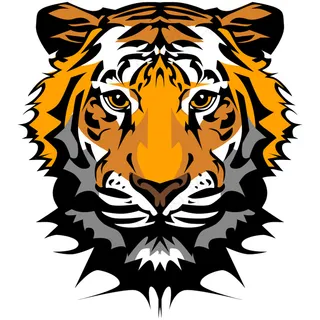 老虎图像20矢量素材