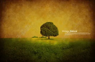草地上的大树怀旧素材