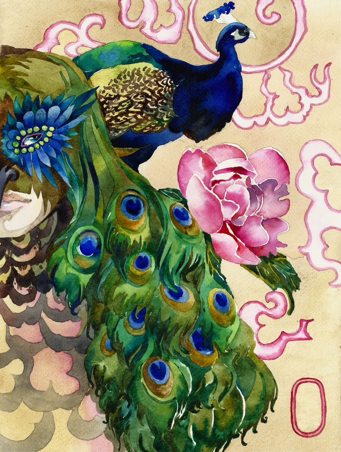 水彩孔雀插画
