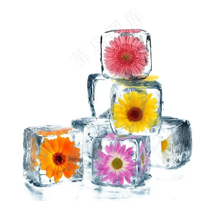 创意冰块鲜花图片