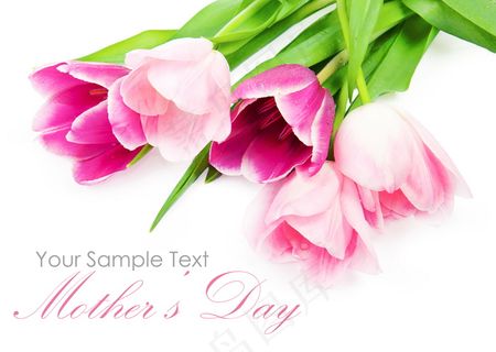 花朵母亲节背景图片