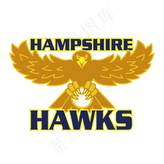 新罕布什尔州的鹰