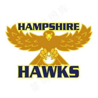 新罕布什尔州的鹰