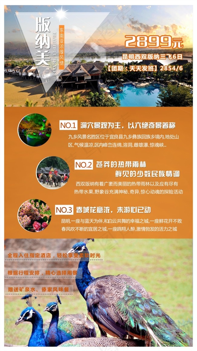 云南西双版纳旅游广告海报(2507X4472(DPI:260))psd模版下载