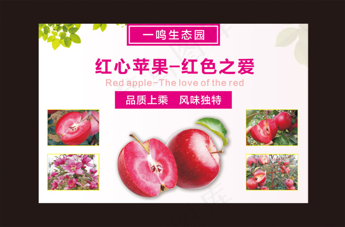 红色之爱苹果海报.