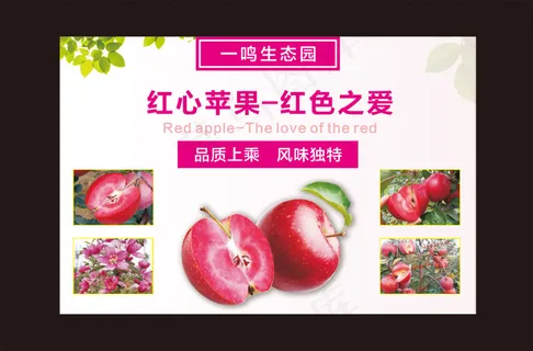 红色之爱苹果海报.