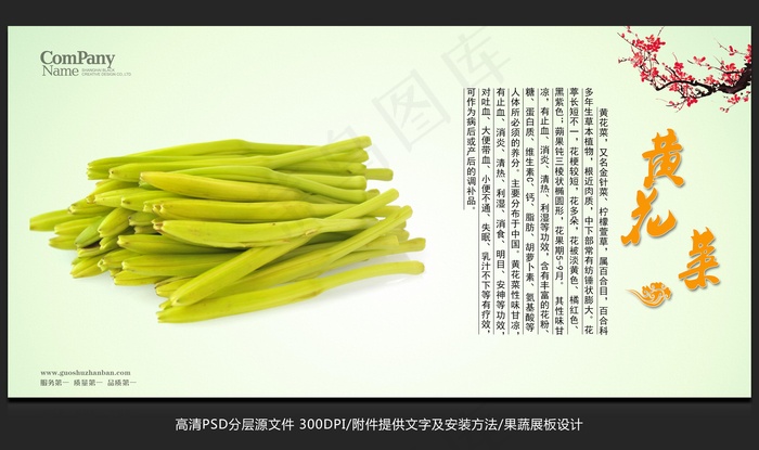 蔬菜展板设计黄花菜海报招贴广告设计psd模版下载