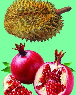 水果图片
