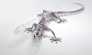 奥迪驾控汇壁虎形象图免费下载