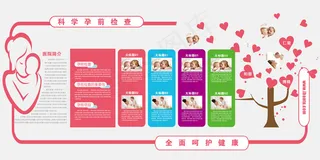 妇科科学孕前检查文化墙