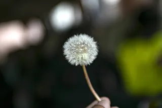 动感快切快闪节奏感宣传片开场PR模板动感快切快闪节奏感宣传片