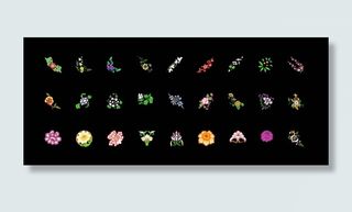 彩色小花矢量图