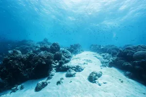 海底世界图片背景