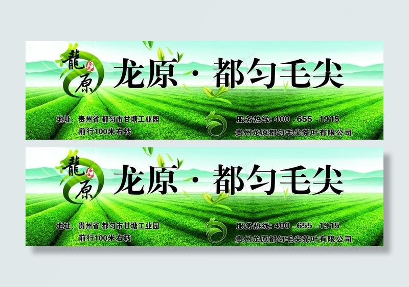 都匀毛尖茶图片