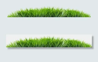 百款树叶绿叶花草PNG免扣素材