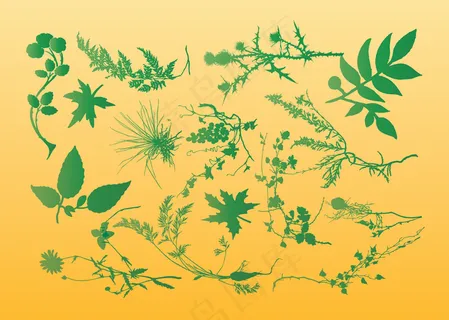 植物的矢量图形 植物的矢量图形