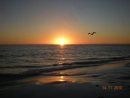 海南岛 日出图片