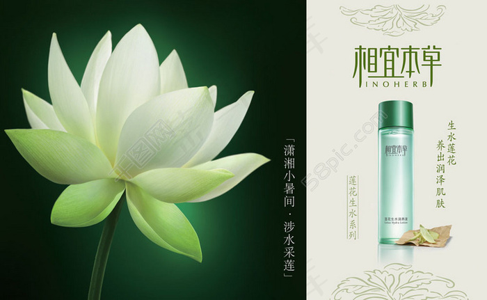 相宜本草莲花海报psd模版下载
